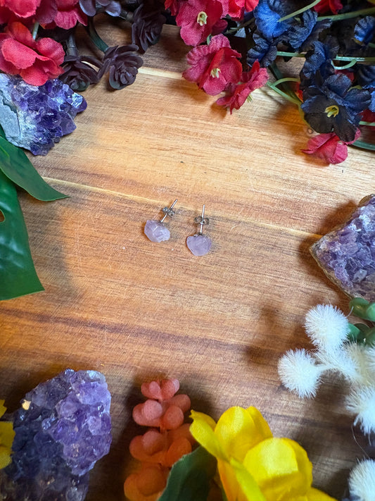 Amethyst Ascension Stainless Steel Stud Earrings
