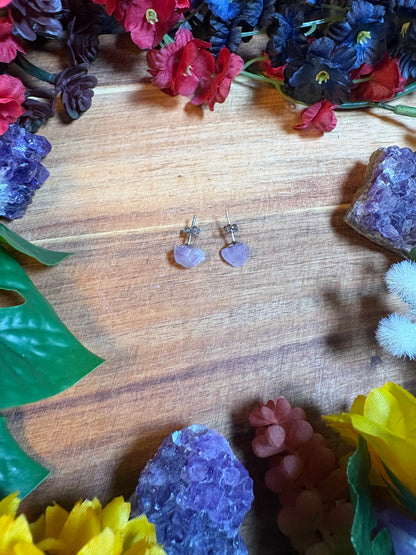 Amethyst Ascension Stainless Steel Stud Earrings